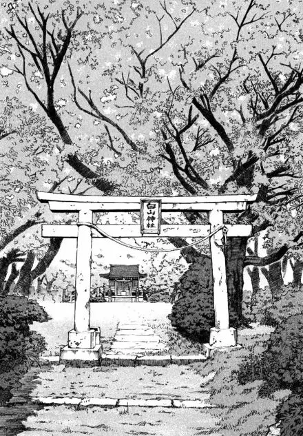 【贺贺】碎蛋计划爆踹贱狗奴