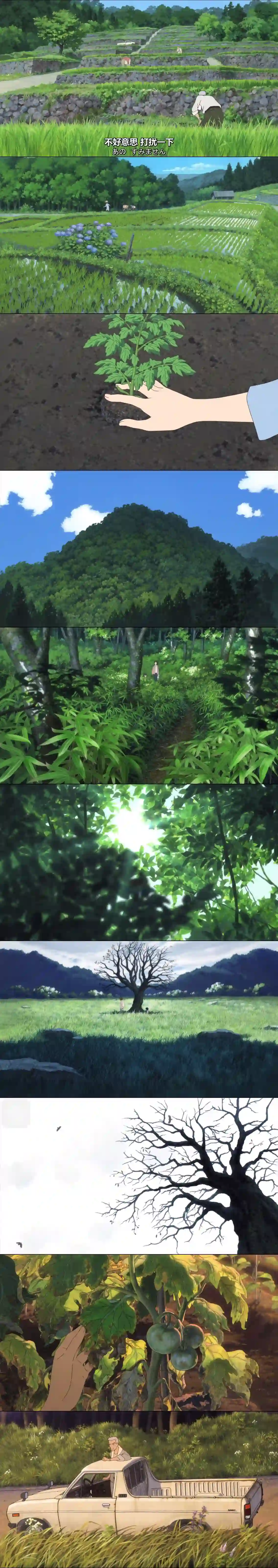 【太原yumi悠米】直播日常调狗ty