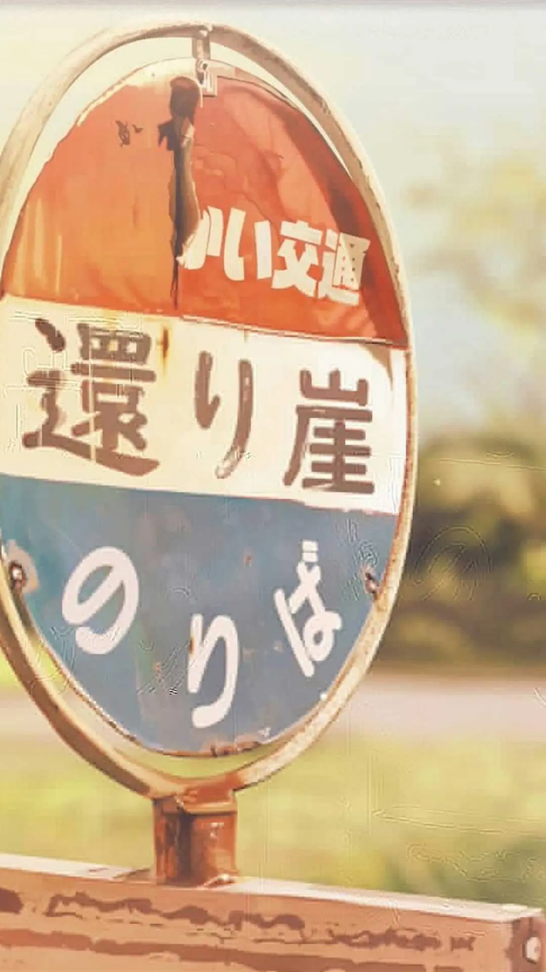 【苏老师】高跟踩踏虐贱狗