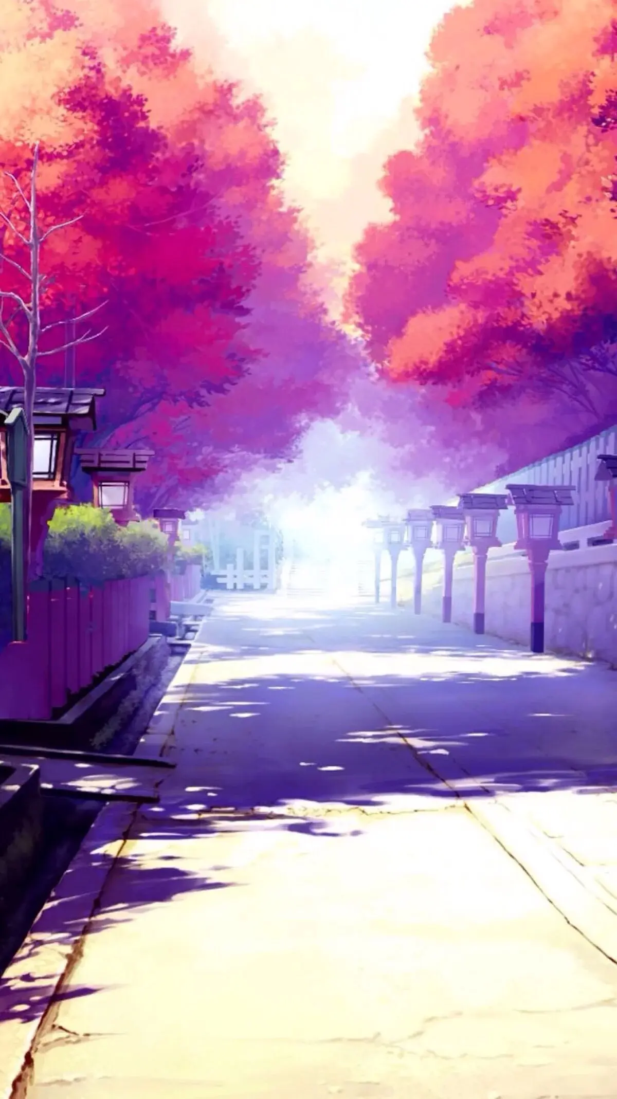 【南京月神S】暴力打死差评狗