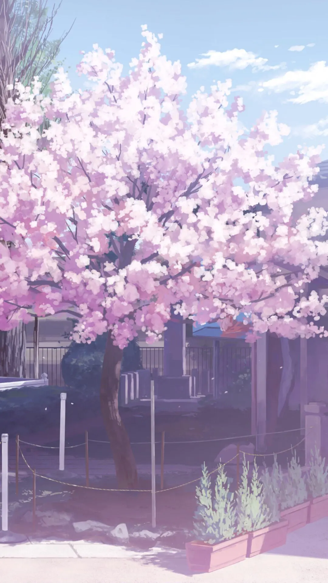 【魔蝎】引导开发闺蜜老公进圈