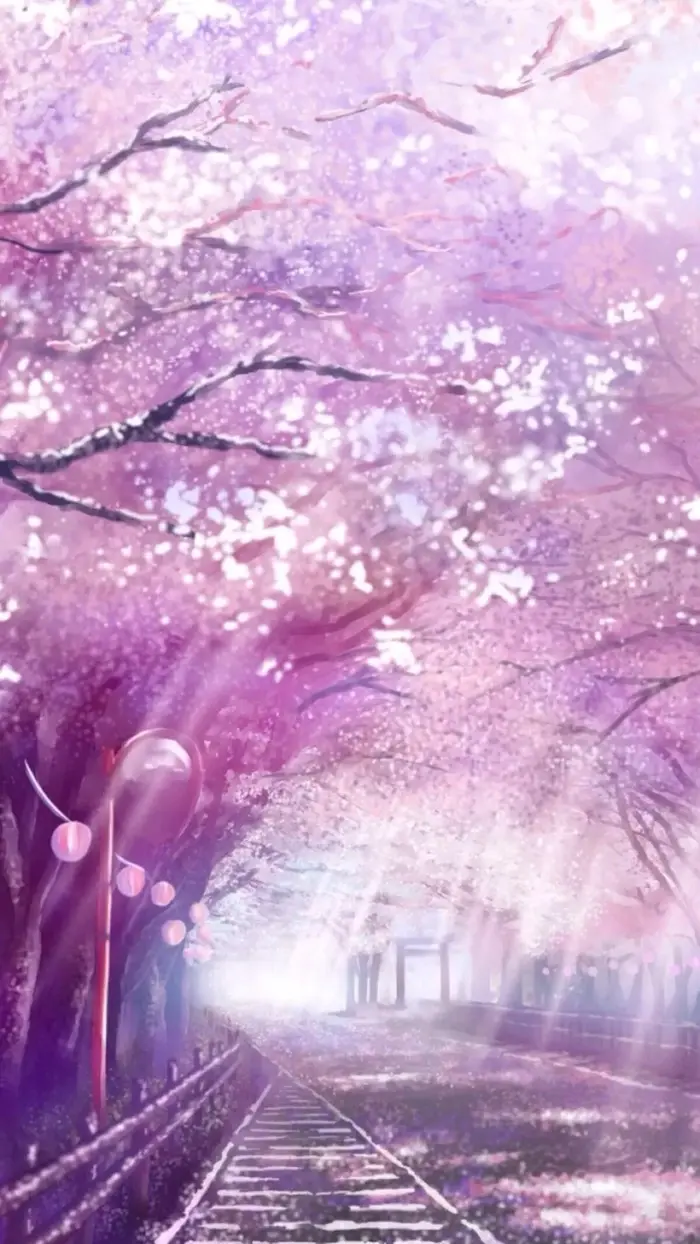 【不知名美女】首调女慕【上】