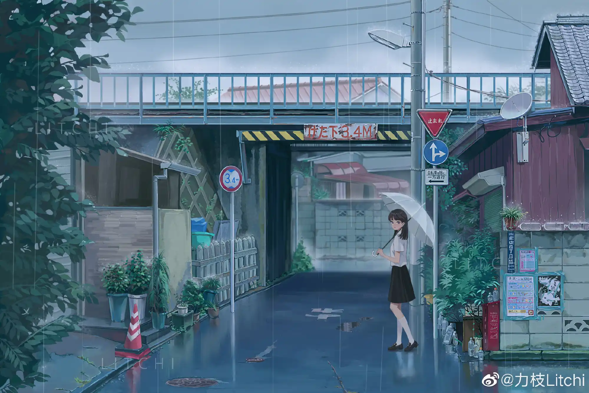 【妃儿小主】双S-骑狗背sp/赏赐圣水/臭脚狂舔