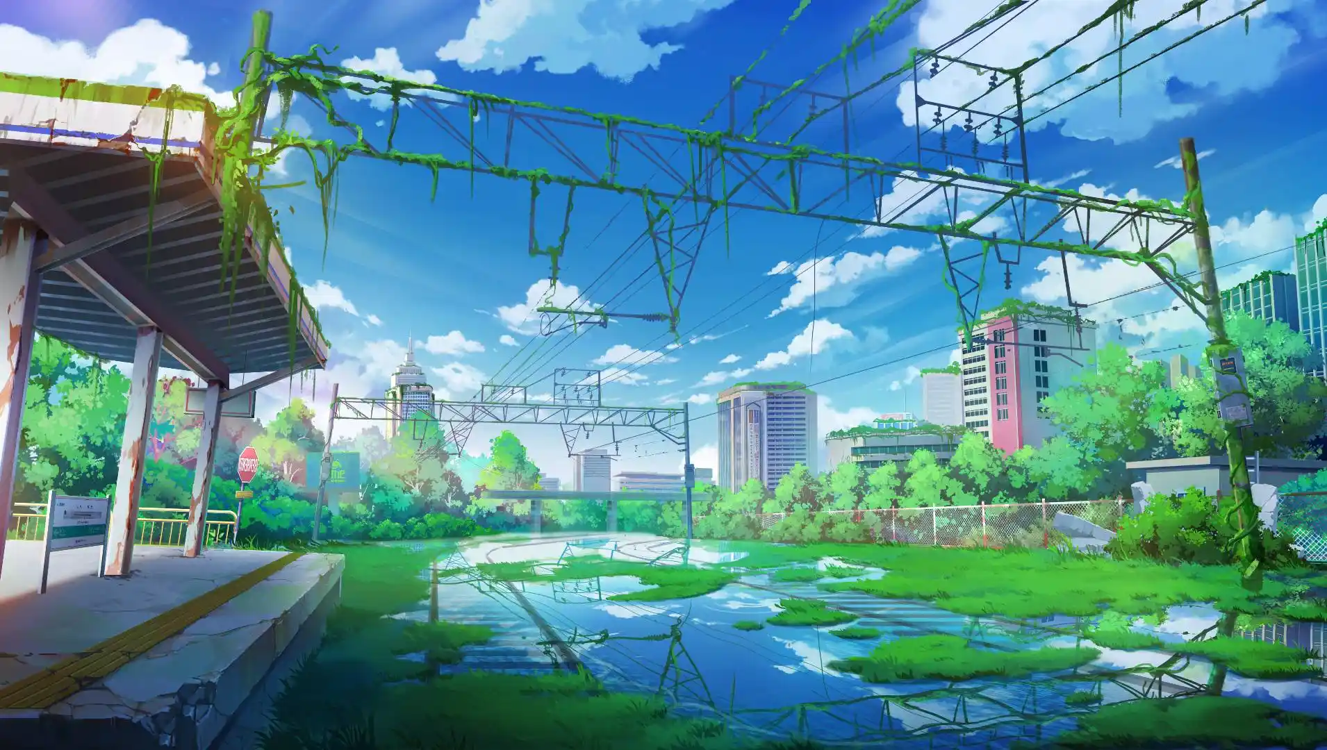 【林初】深夜调教脚奴