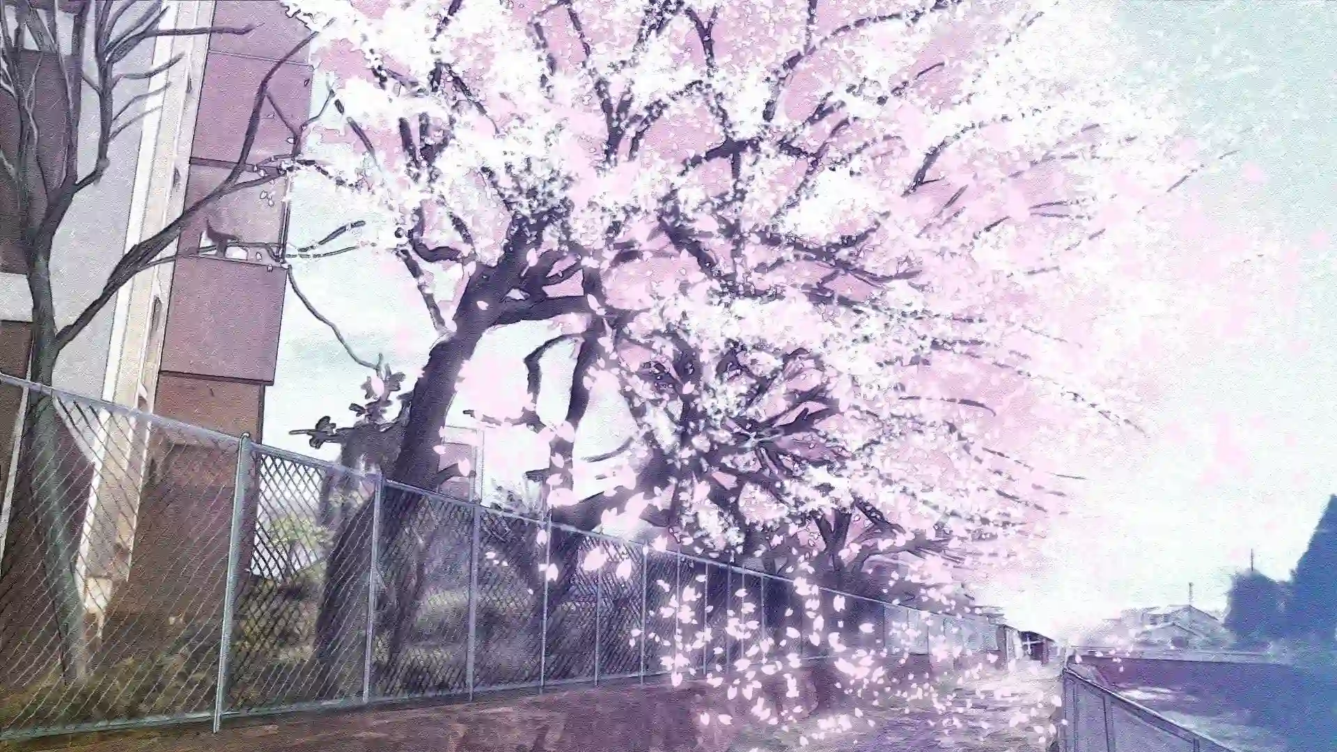 【萱萱】【奴隶岛】萱萱女神裸足特写