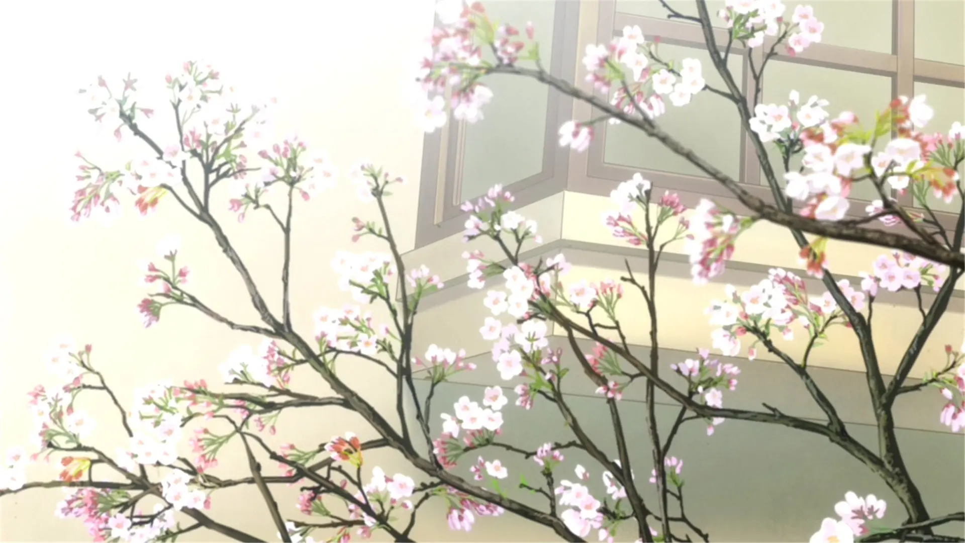 【美帝】从室外到室内的调教