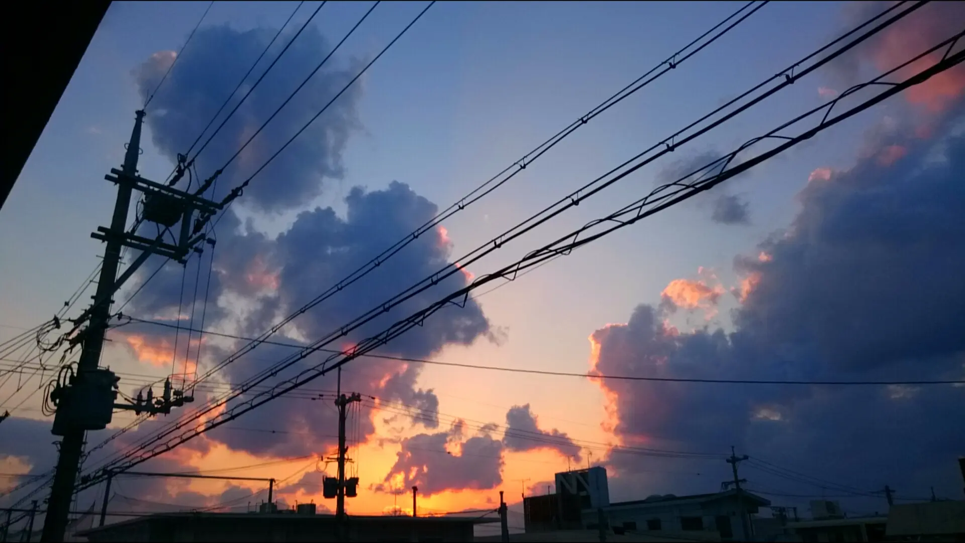 【领主老大】被圈养的第二天