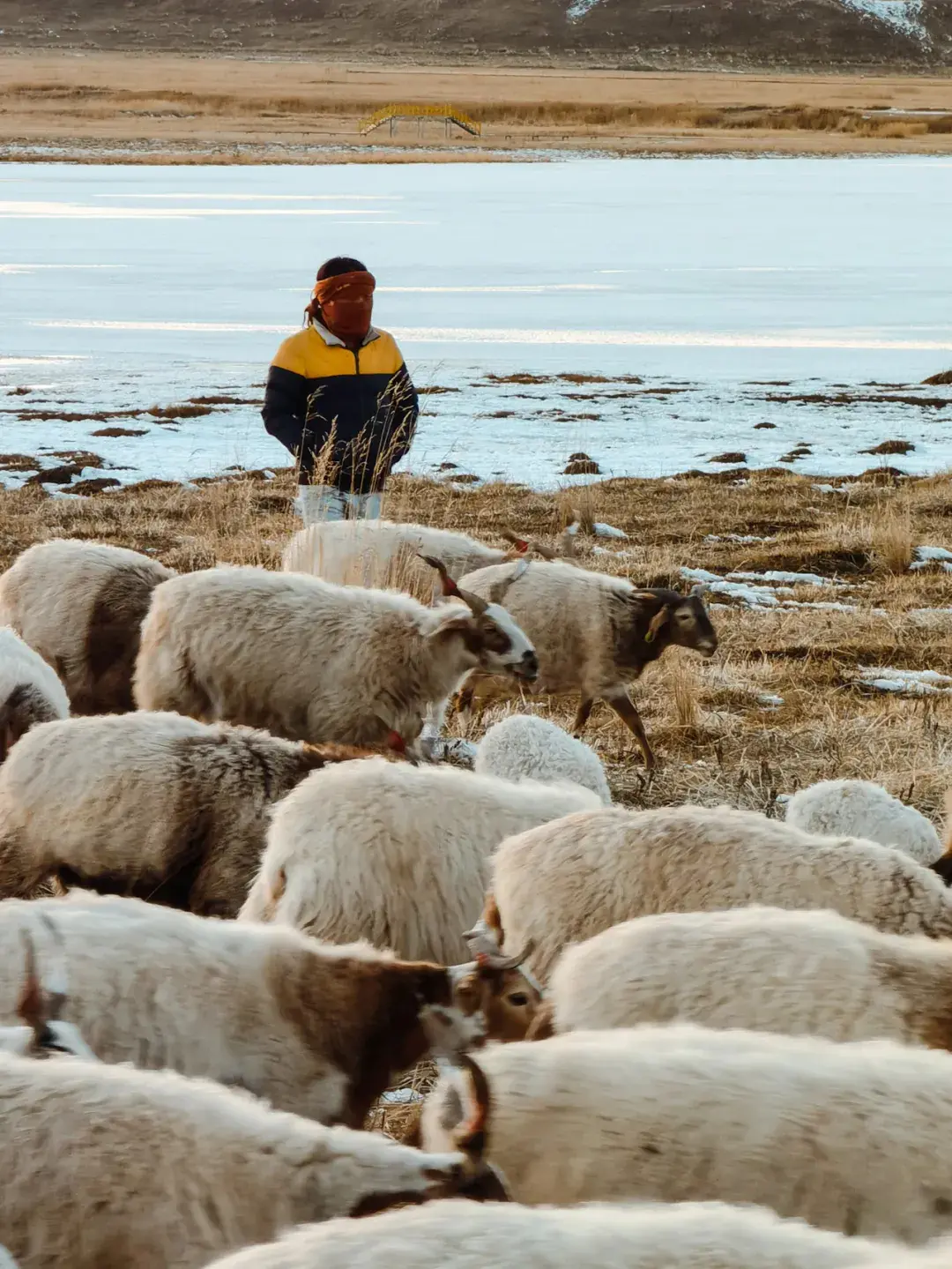 【冰冰女神】房东催租 被诱惑后调教成狗