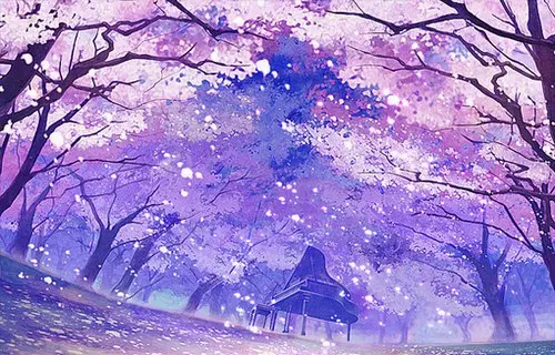 【贵阳妖妖女王】保鲜膜胶带捆绑束缚，踩踏圣水（官方已删）