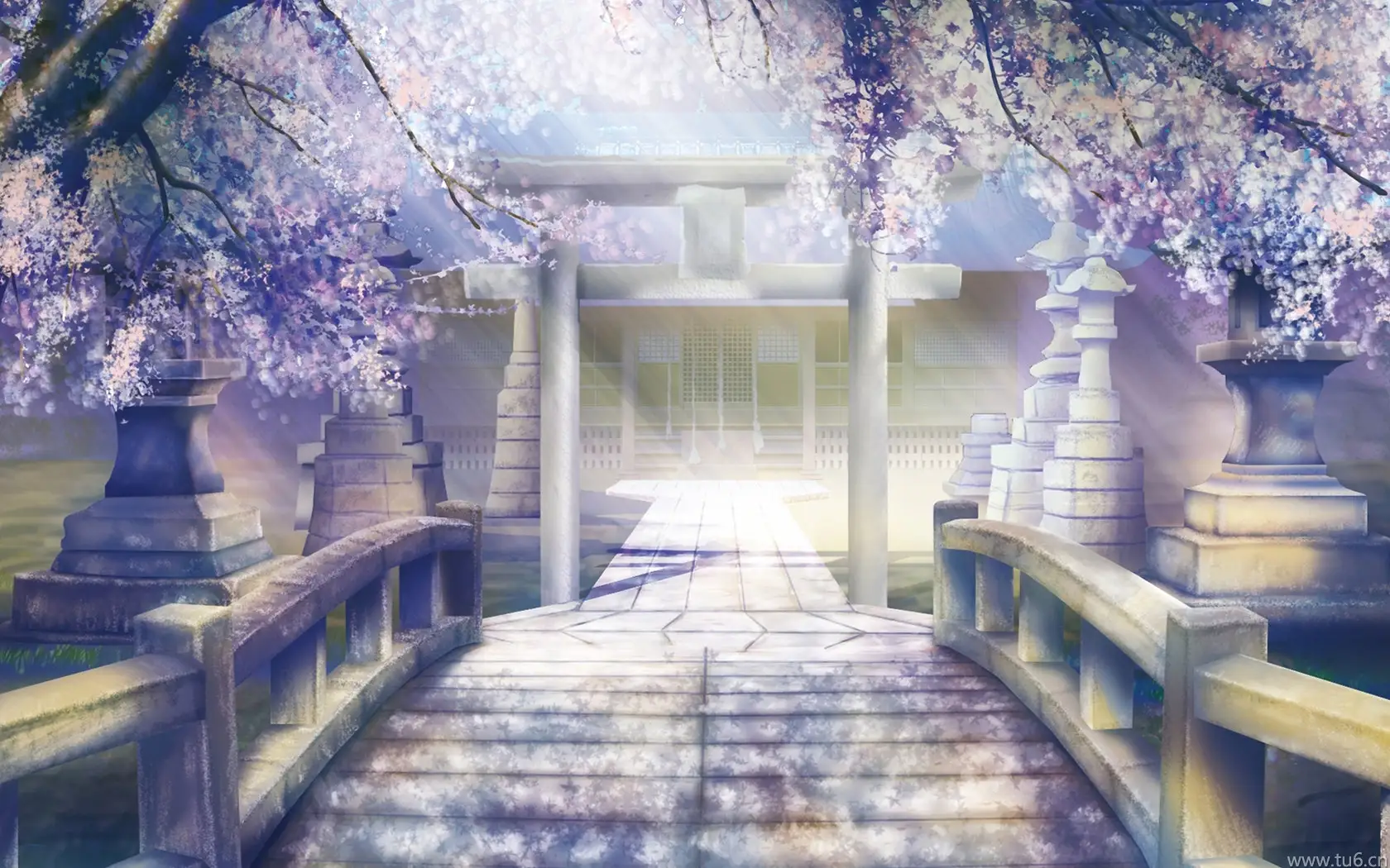 【御灵学姐】学姐初次女王装Tj素人哥哥