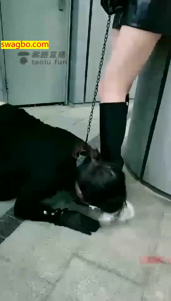 【V神】耻！街调极贱の人形母犬【26分钟】【标清】