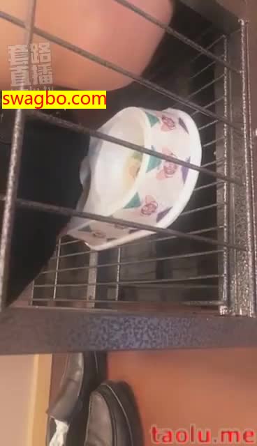 升水泡狗粮.折磨笼子里的人型狗畜-歌迪丝S_201812220109191 -套路艾彩视频