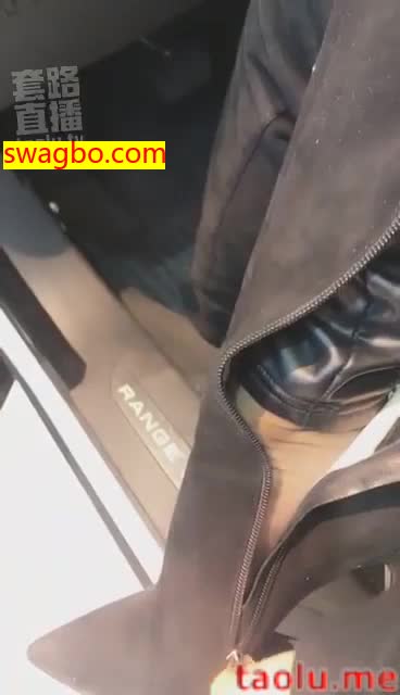 4S店带狗看车-歌迪丝S_201812220106151 -套路艾彩视频