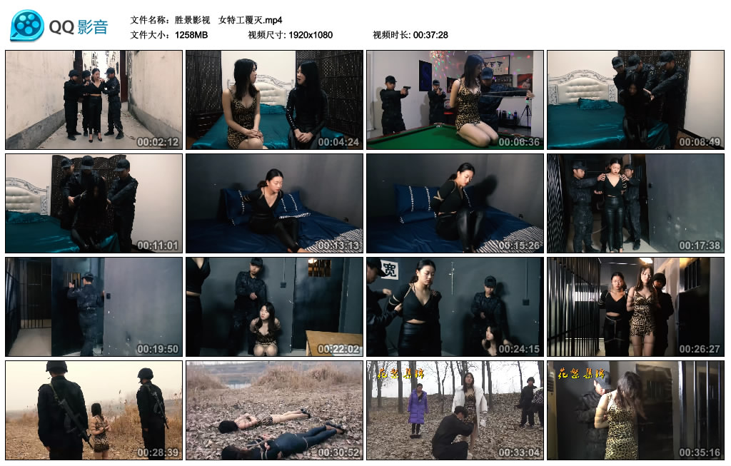 胜景影视 女特工覆灭 -套路艾彩视频