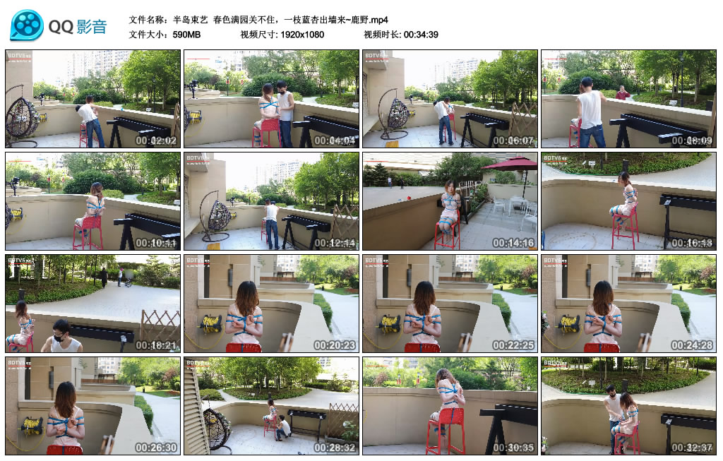 [半岛束艺] 半岛束艺 春色满园关不住，一枝蓝杏出墙来~鹿野 -套路艾彩视频