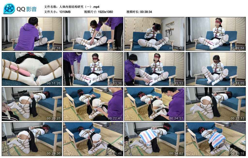 人体内部结构研究（一） -套路艾彩视频