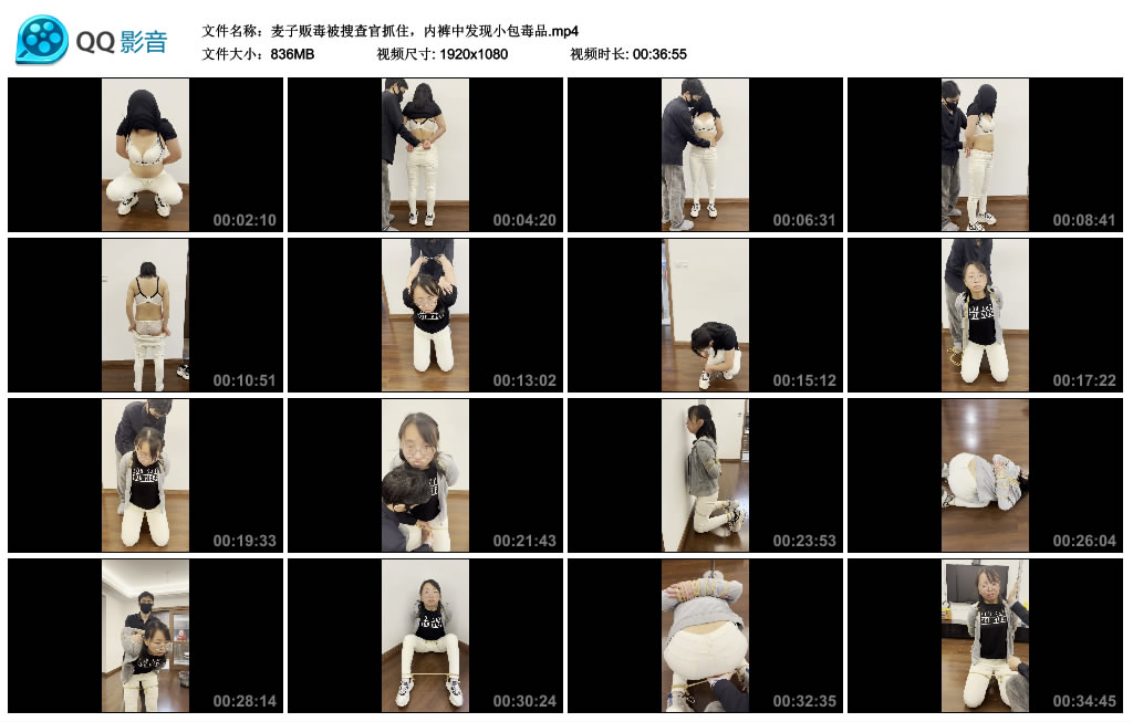麦子贩毒被搜查官抓住 -套路艾彩视频