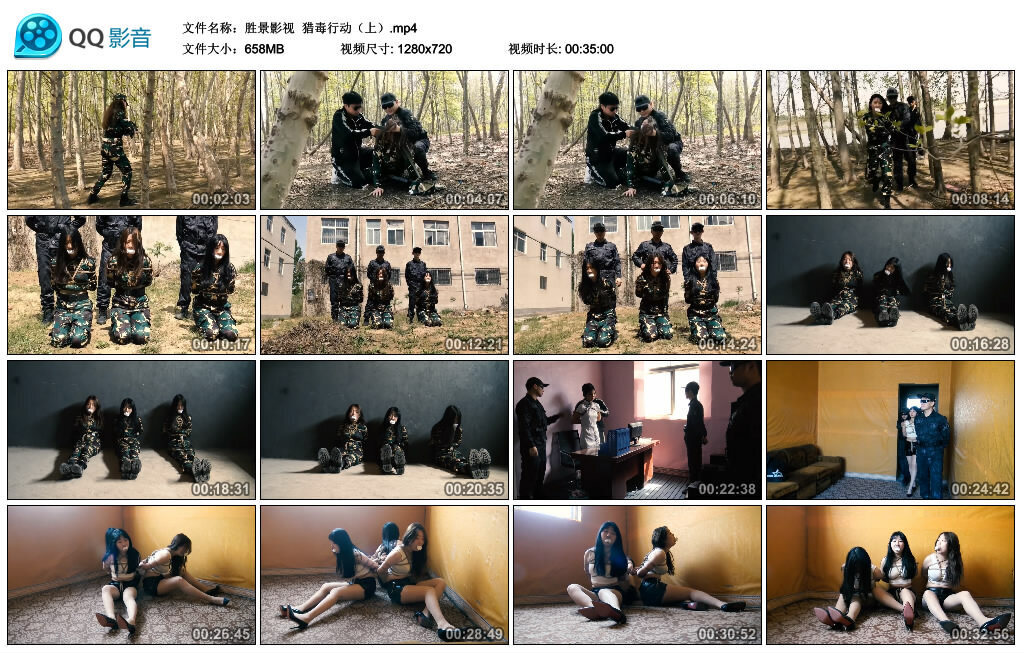 【胜景影视】猎毒行动（上） -套路艾彩视频