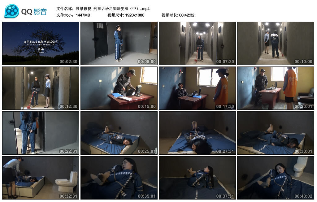 【胜景影视】刑事诉讼之知法犯法（中） -套路艾彩视频