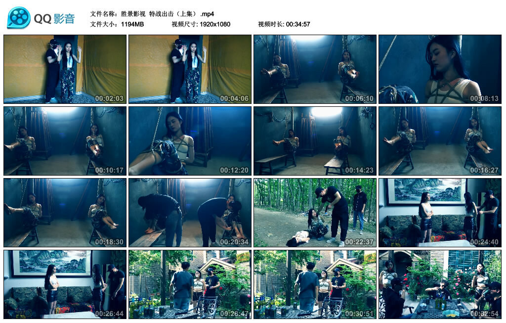【胜景影视】特战出击（上集） -套路艾彩视频
