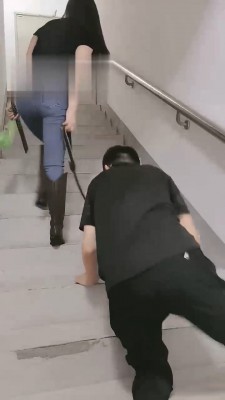 【美帝】御姐楼道遛狗 bf17774 -套路艾彩视频