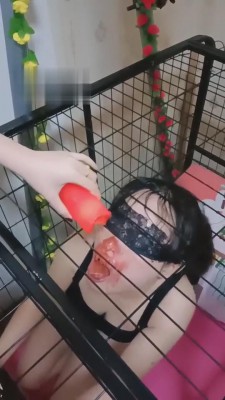 【女慕乐】囚禁玩弄狗笼里的骚母狗 bf3512 -套路艾彩视频
