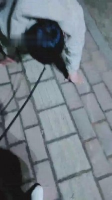 【魅影女神】饭后遛遛狗虐虐 bf7601 -套路艾彩视频