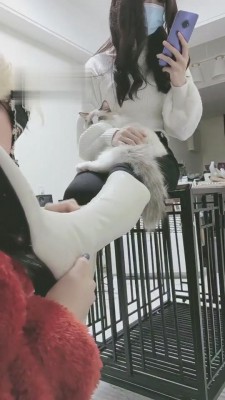 【时安】不听话的贱下场 bf4456 -套路艾彩视频