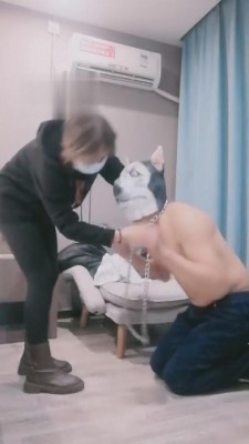 【刘二狗】素人肉肉首次圣水暴力调教 bf4541 -套路艾彩视频