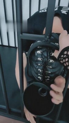 【就是喜欢玩啊】狗笼里可怜的狗 bf5596 -套路艾彩视频