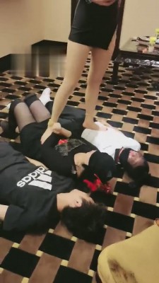 【丹祖宗】三只小狗互相争宠 bf3352 -套路艾彩视频