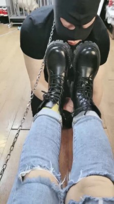 套路直播视频【西安欣】狗笼圈养喂食狗【双视角版】 bf24282 -套路艾彩视频