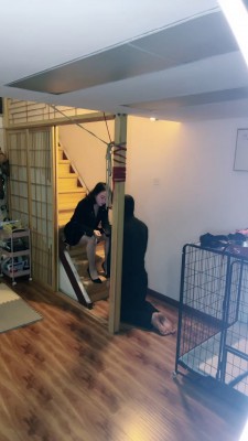 套路直播视频【十月】日式调教室首调废物 bf24641 -套路艾彩视频