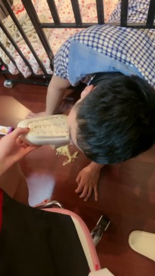 套路直播视频【桃幼幼】狗笼 圈养踩踏食物喂食/强制深喉 bf24544 -套路艾彩视频