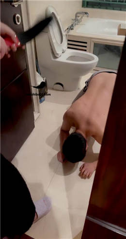 套路直播视频【悠悠大S】马桶水洗狗  JS23030117 -套路艾彩视频