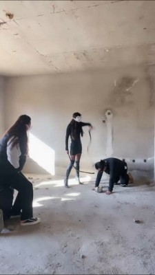 套路直播视频【妆主大大】和素人小姐姐-户外鞭打/骑马遛狗 bf25711 -套路艾彩视频