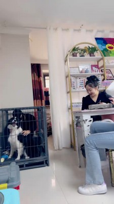 套路直播视频【二宝】真实-美甲店当着技师的面玩狗/关狗笼/强迫喝洗脚水 bf25638 -套路艾彩视频