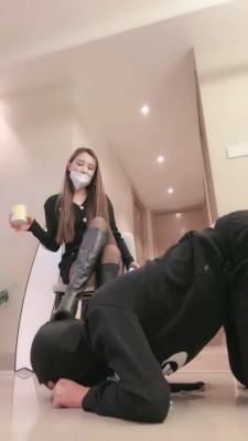 套路直播视频【cici】车模黑丝长腿-圈养犬喂食实录 bf26715 -套路艾彩视频