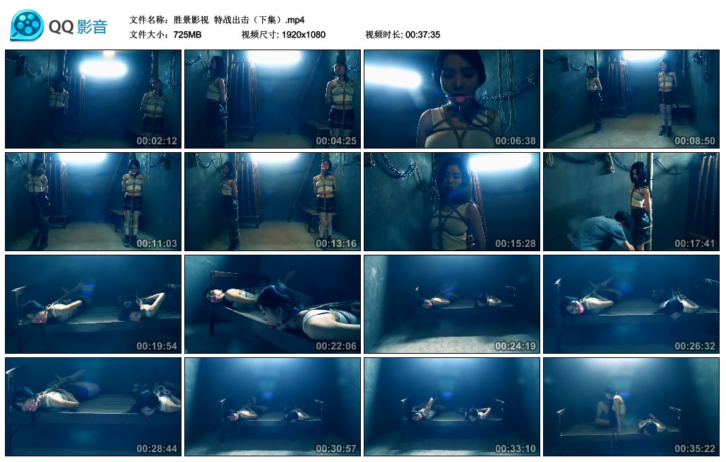 【胜景影视】特战出击（下集） -套路艾彩视频
