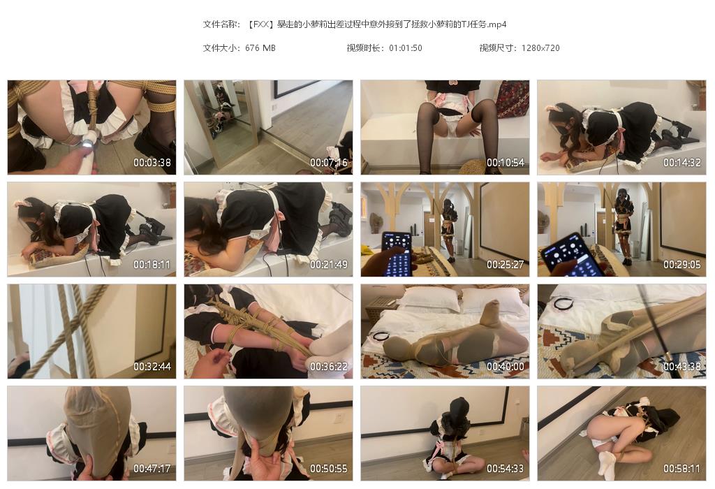 【FXX】暴走的小萝莉出差过程中意外接到了拯救小萝莉的TJ任务