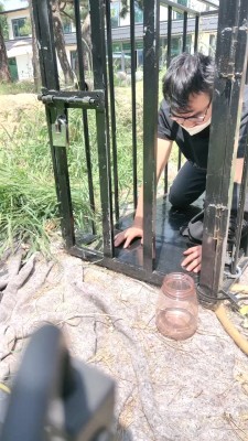 【沅芷大人】关狗笼圈养犬化-手铐捆绑/高跟踩踏 bf28263 -套路艾彩视频