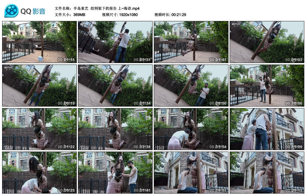 【半岛束艺】绞刑架下的报告 上~海语 -套路艾彩视频