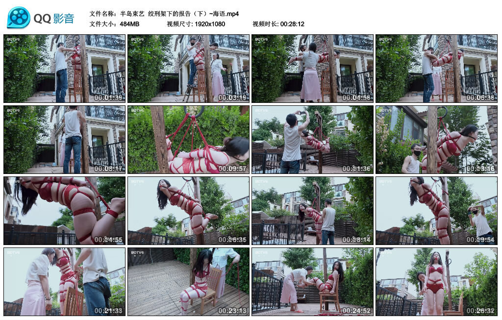 【半岛束艺】绞刑架下的报告（下）~海语 -套路艾彩视频