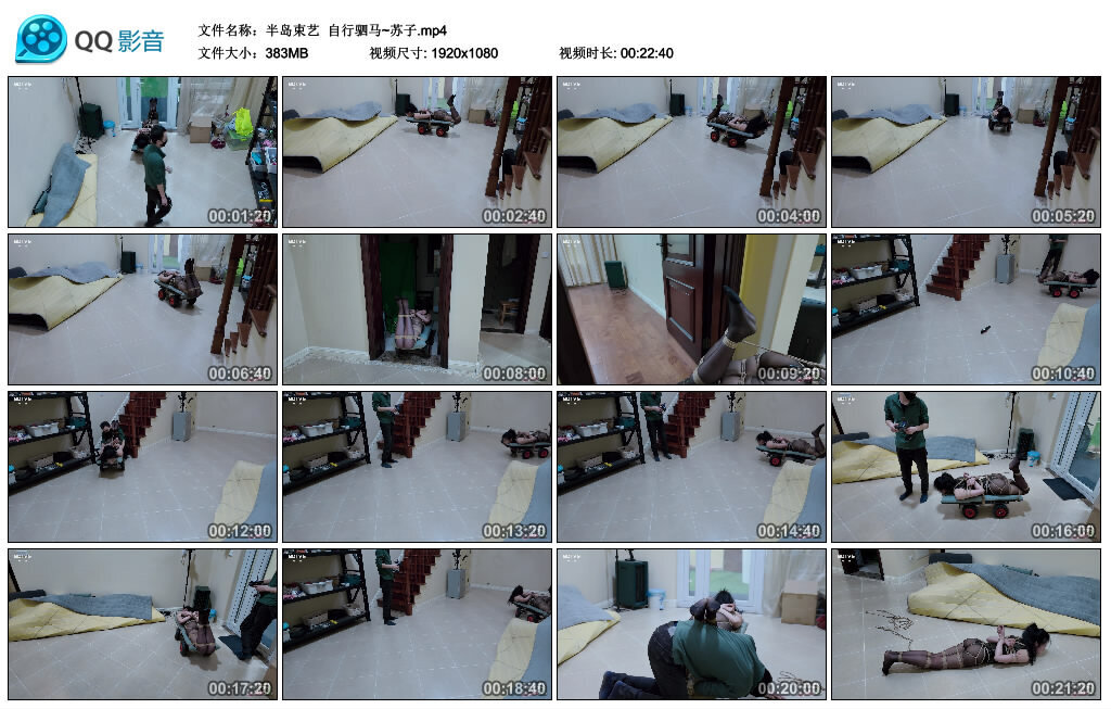【半岛束艺】自行驷马~苏子 -套路艾彩视频