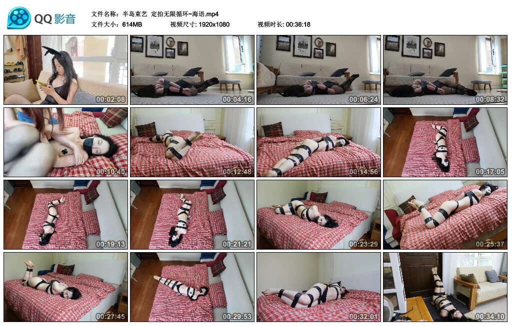 【半岛束艺】定拍无限循环~海语 -套路艾彩视频