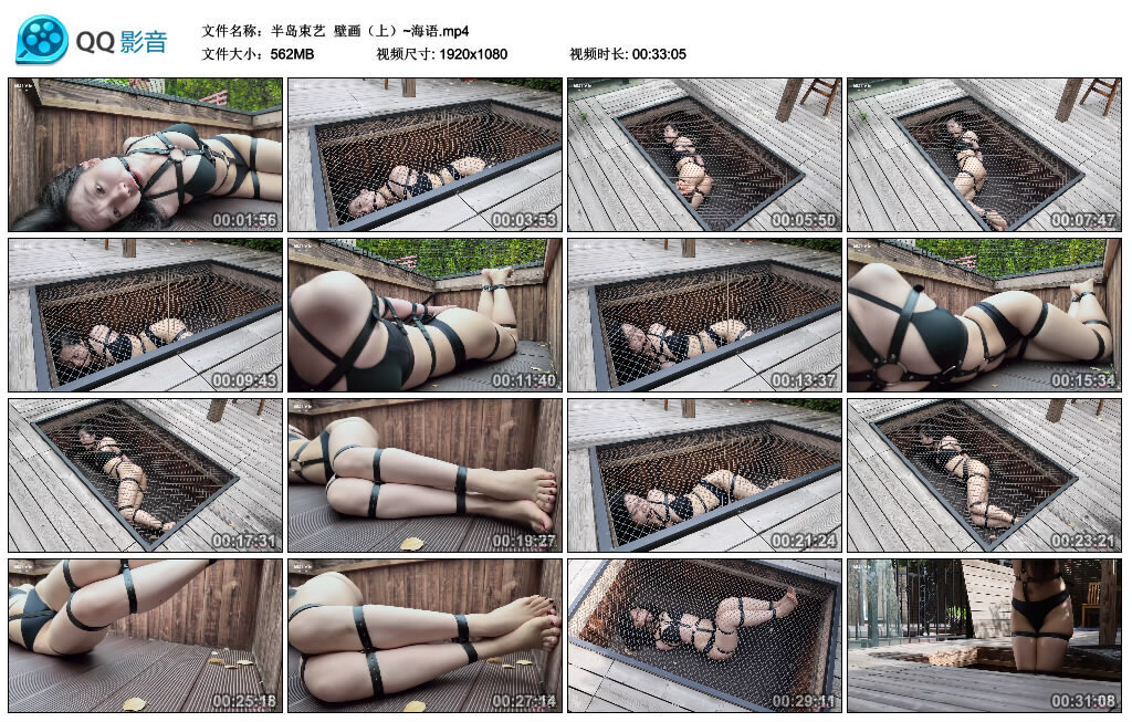 【半岛束艺】壁画（上）~海语 -套路艾彩视频