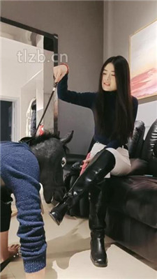 【昭玥】高贵女骑士和她的马