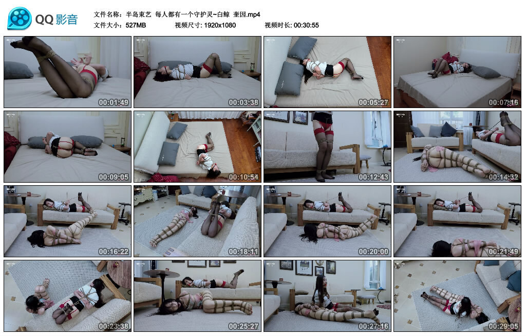 【半岛束艺】每人都有一个守护灵~白鲸 奎因 -套路艾彩视频