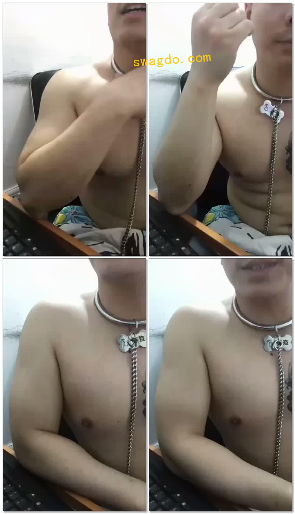 【莺葵】M戴永久项圈【60分钟】 【莺葵】M戴永久项圈【60分钟】