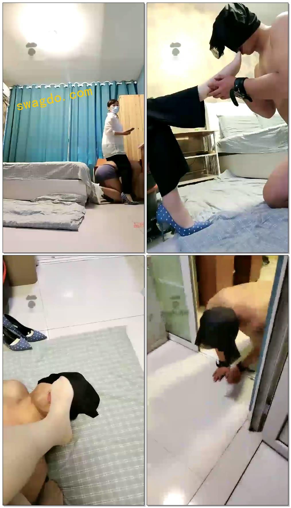 【飞飞S】德州狗子跪求虐【53分钟】【标清】 【飞飞S】德州狗子跪求虐【53分钟】【标清】